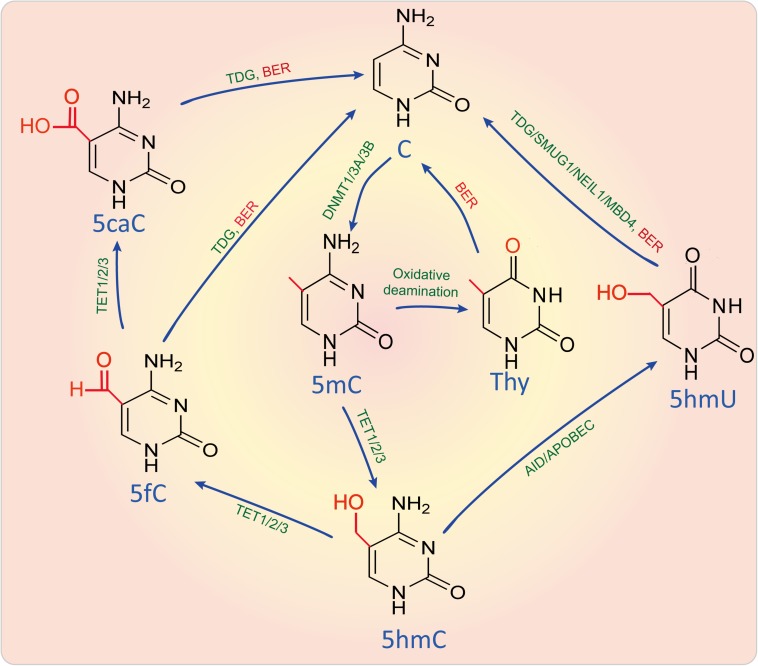 FIGURE 2