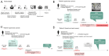 Figure 1. Study design and clinical course of the cases. (A) Blood samples were obtained before surgery and 1 and 2 months after surgery. A tissue sample was obtained during surgery. All samples were ...
