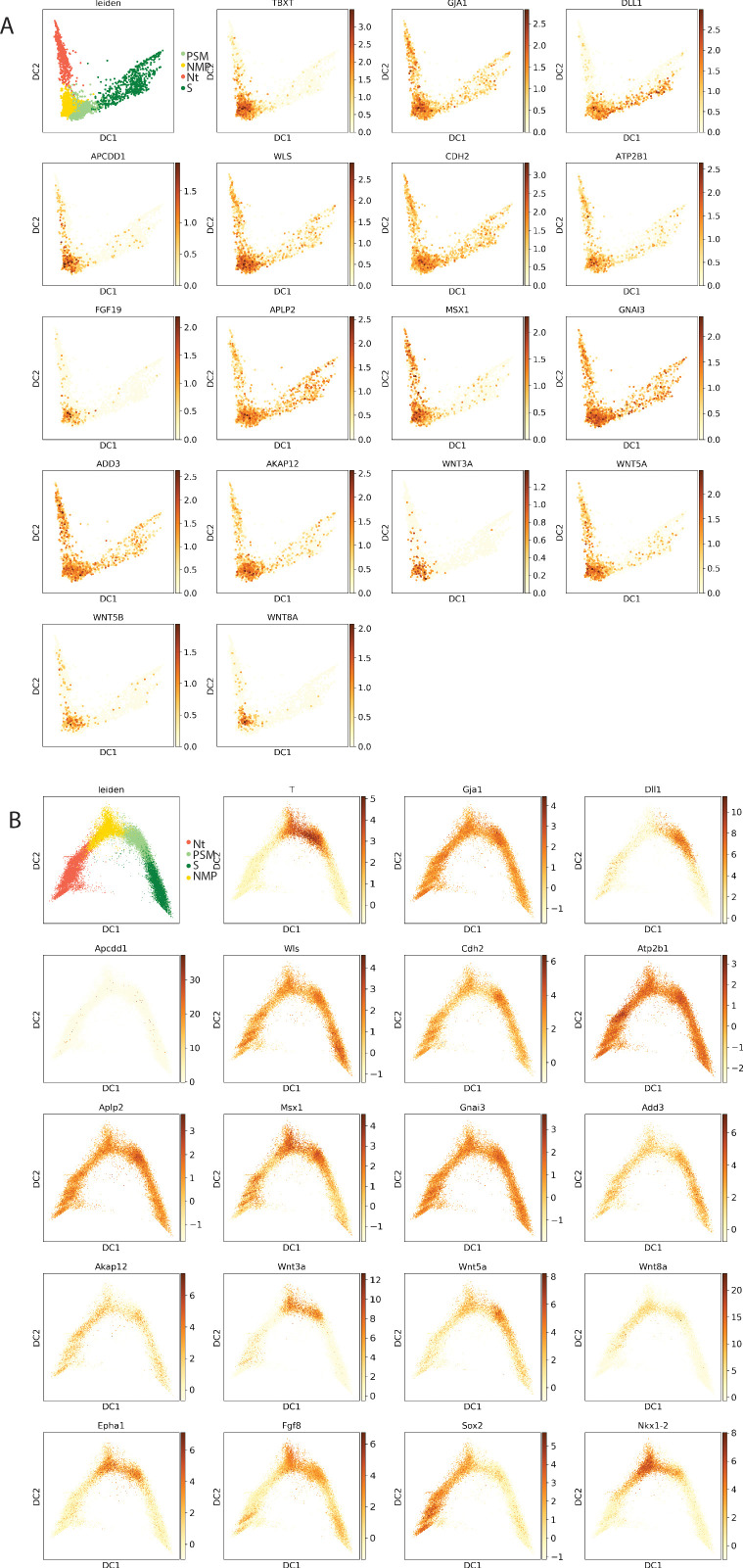 Figure 3—figure supplement 4.