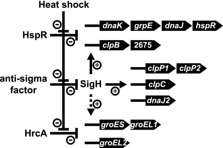 FIG. 5.