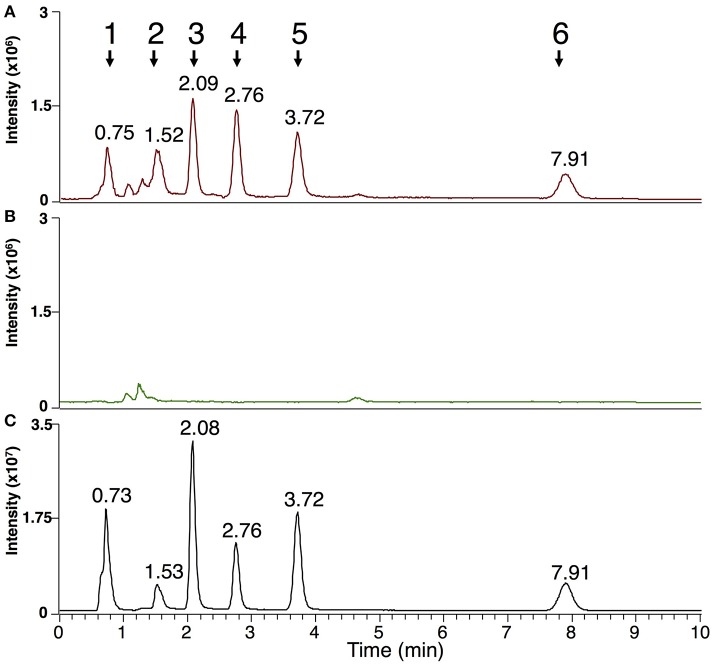 Figure 5