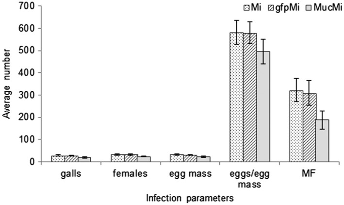 Figure 5