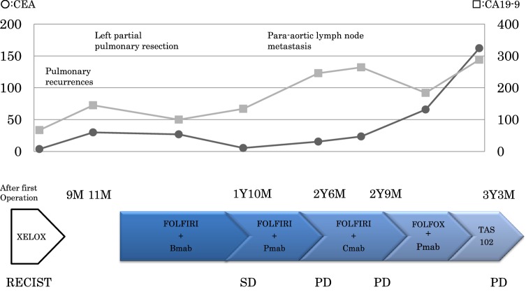 Fig. 2