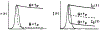 Figure 10.