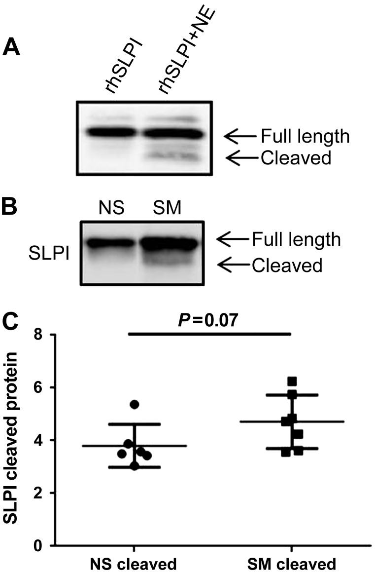 Fig. 5.