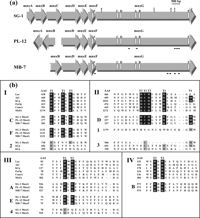 FIG. 3.