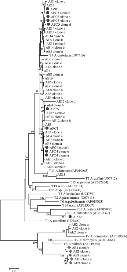 FIG. 1.