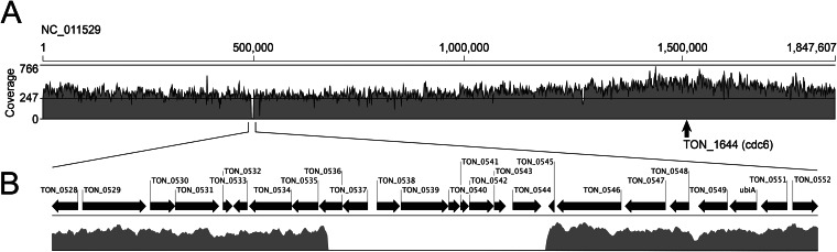 FIG 6