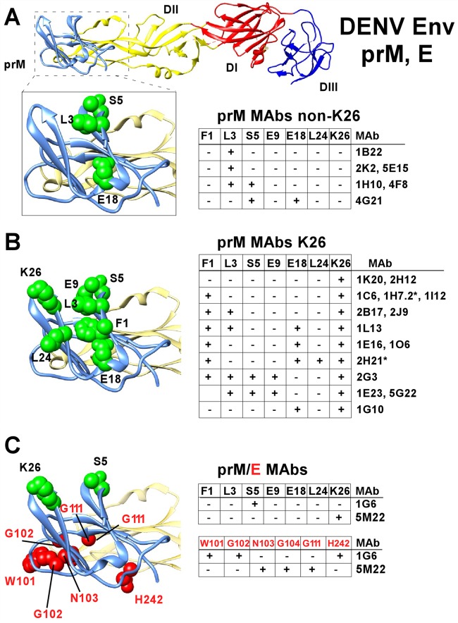 FIG 2