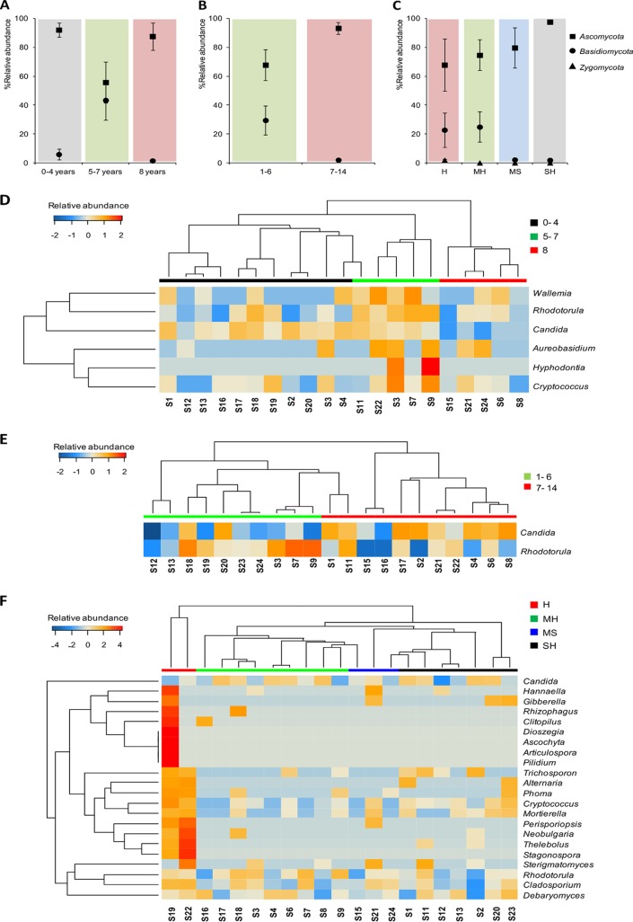 FIG 6