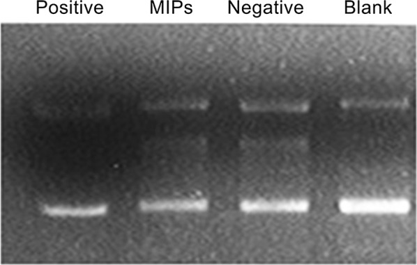 Fig. 7