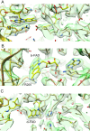 Figure 4—figure supplement 2.