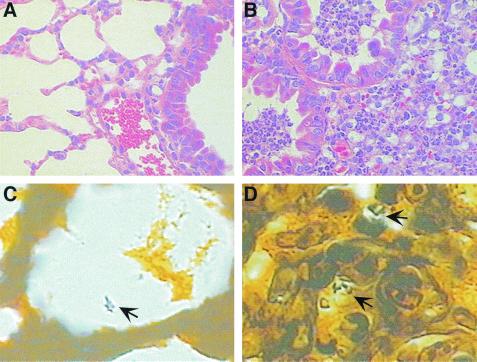 FIG. 8