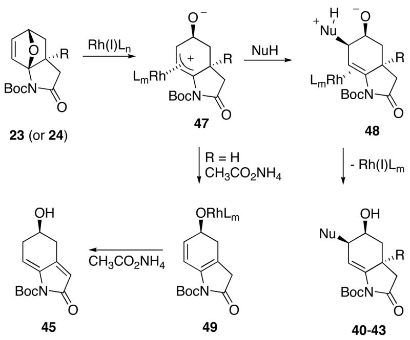 Scheme 8