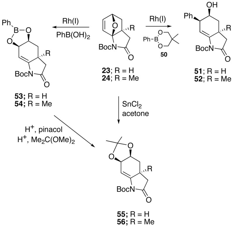 Scheme 9