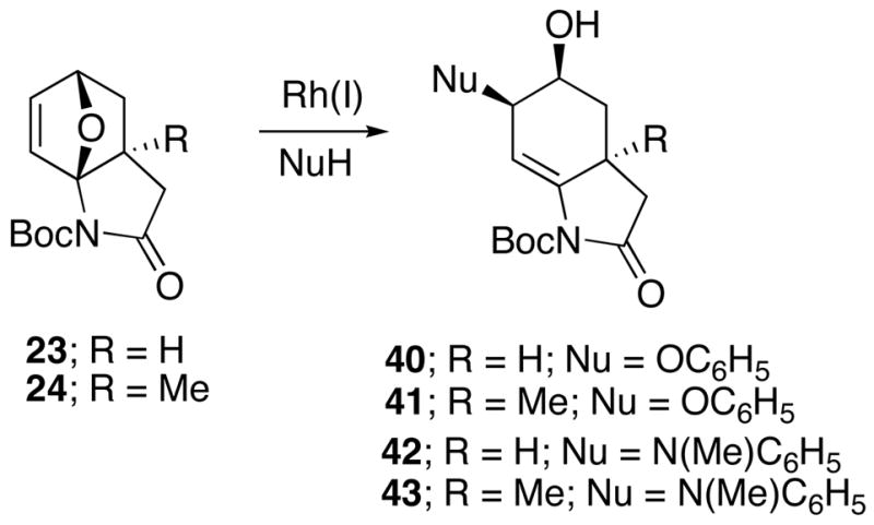 Scheme 6