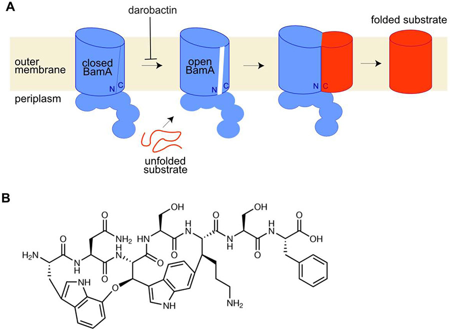 Figure 4: