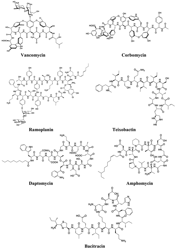 Figure 3: