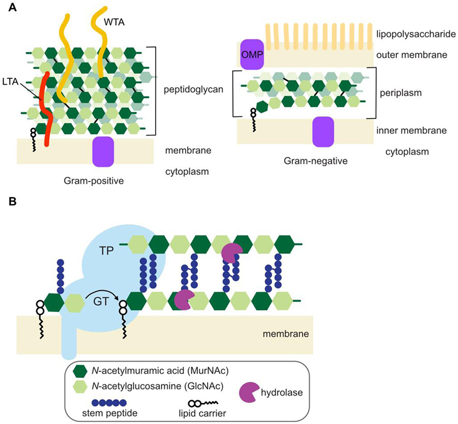 Figure 1: