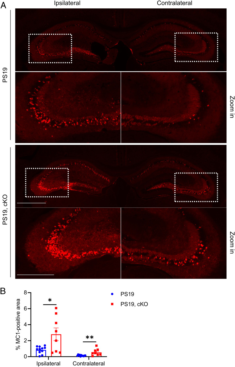 Fig. 7.