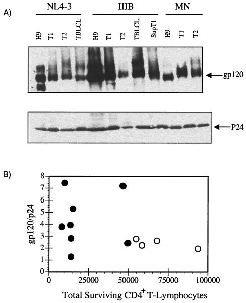 FIG. 5