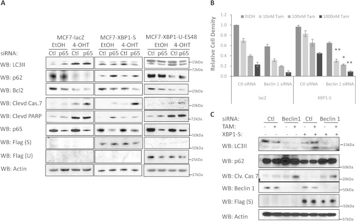 FIG 6