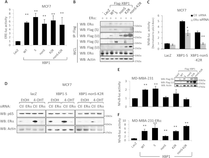 FIG 4