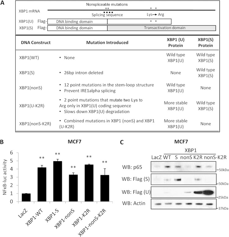 FIG 3