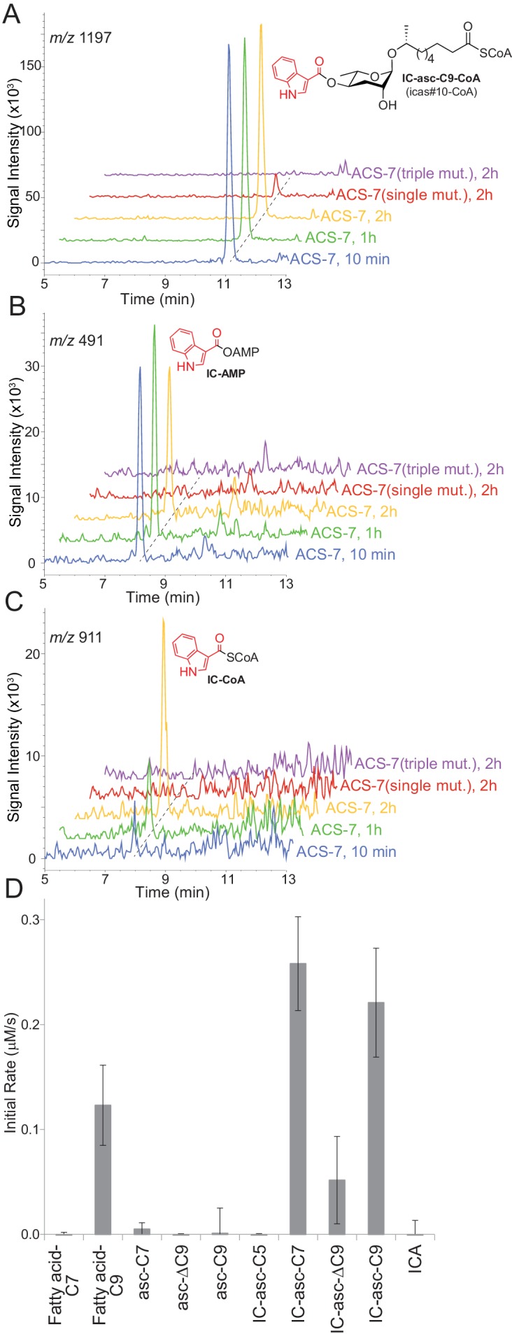 Figure 3.