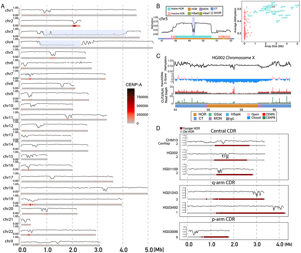 Figure 4: