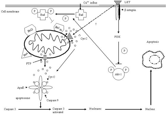 FIG. 9.