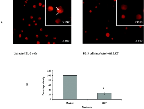 FIG. 7.