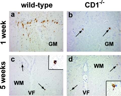 FIG. 7.