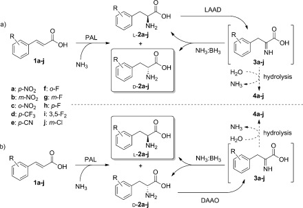 Scheme 3