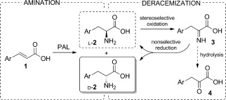 Scheme 1