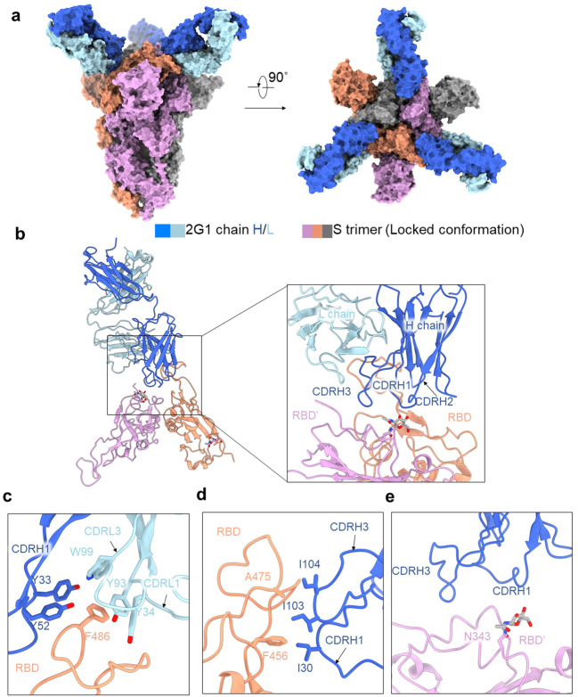 Fig. 6