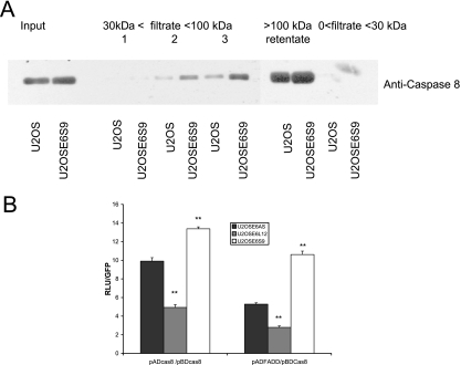 FIG. 7.