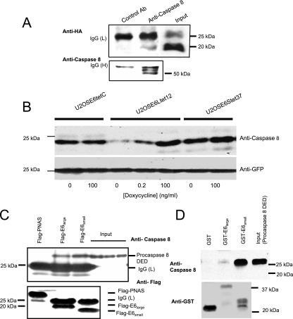 FIG. 6.