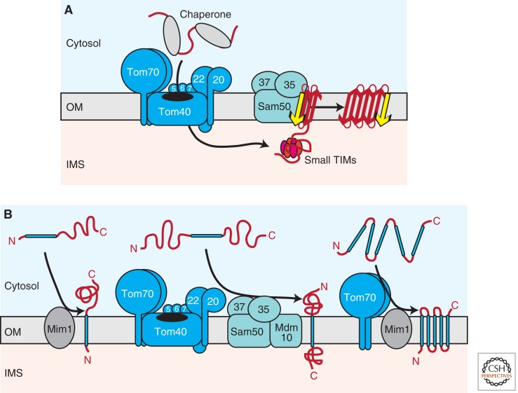 Figure 2.