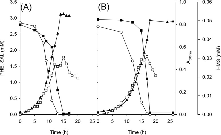 Fig 5