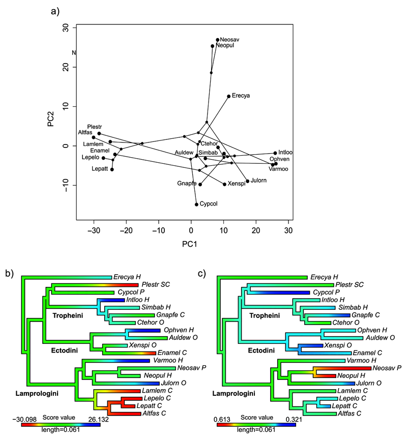 Figure 6