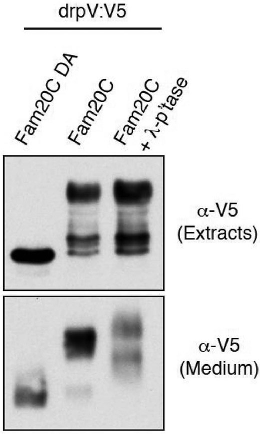 Fig.4.