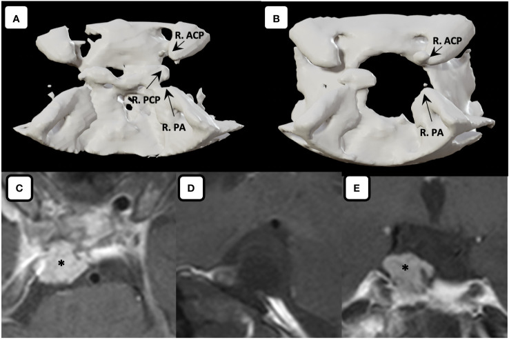 Figure 6