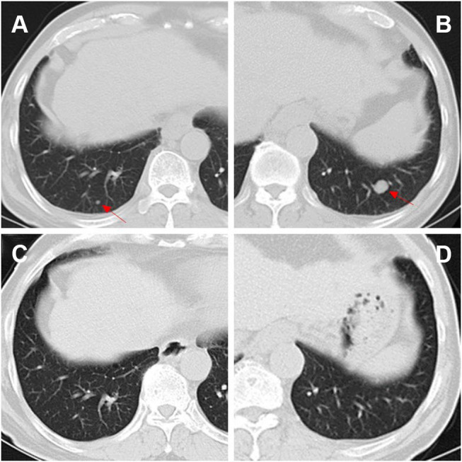 Figure 6