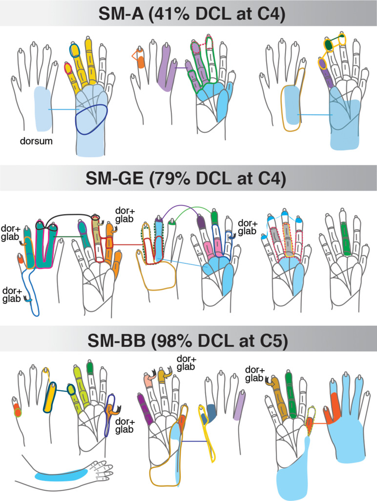 Figure 6.