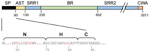 FIGURE 3