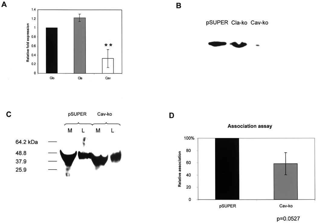 Fig. 9