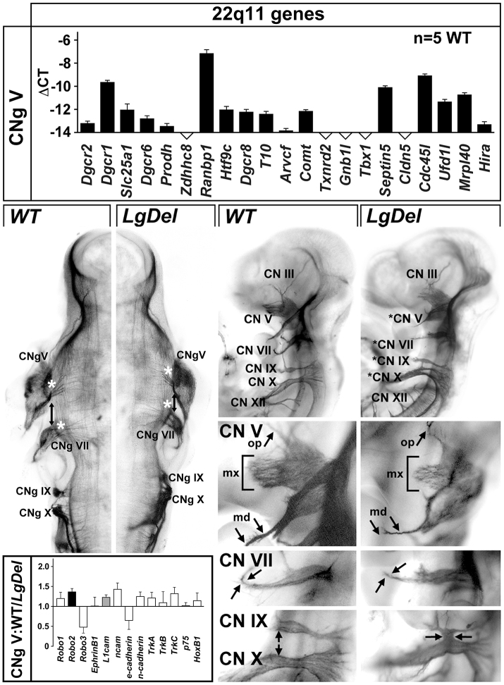 Fig. 5.