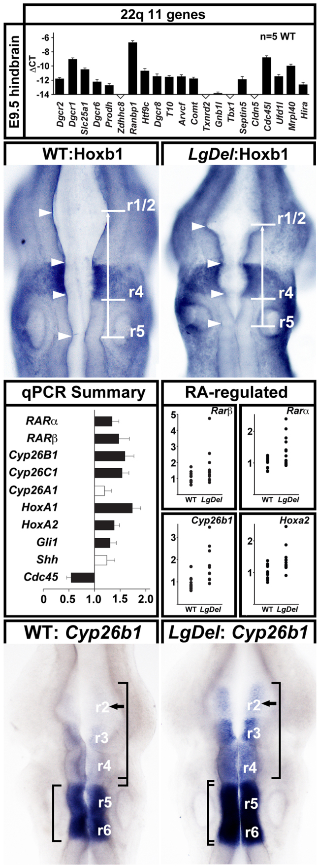 Fig. 4.