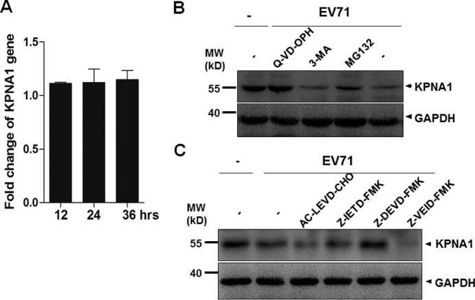 Figure 9.